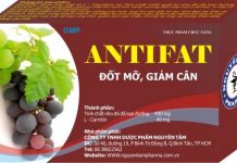 ANTIFAT Thuốc ANTIFAT - SĐK 3887/2010/YT-CNTC