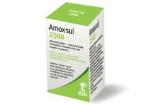 Amox-sul Thuốc Amox-sul - SĐK VN-13295-11