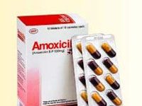 Amoxicillin 250mg Thuốc Amoxicillin 250mg - SĐK H01-018-00