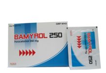 Bamyrol 250 Thuốc Bamyrol 250 - SĐK VD-22178-15