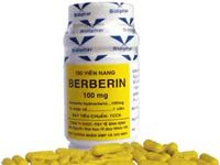 Berberin 100mg Thuốc Berberin 100mg - SĐK VNA-0090-02