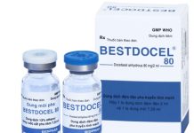 Bestdocel 80 Thuốc Bestdocel 80 - SĐK VD-21823-14