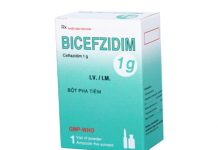 Bicefzidim 1g Thuốc Bicefzidim 1g - SĐK VD-28222-17