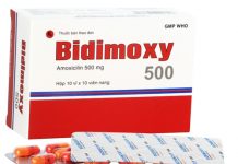Bidimoxy 500 Thuốc Bidimoxy 500 - SĐK VD-5618-08