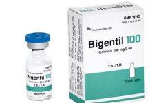 Bigentil 100 Thuốc Bigentil 100 - SĐK VD-21235-14