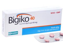 Bigiko 40 Thuốc Bigiko 40 - SĐK VD-21605-14