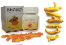 Biocurmin Thuốc Biocurmin - SĐK Biocurmin