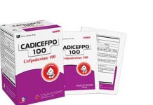 Cadicefpo 100 Thuốc Cadicefpo 100 - SĐK VD-11533-10