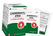 Cadidroxyl – 250mg Thuốc Cadidroxyl - 250mg - SĐK VD-5121-08