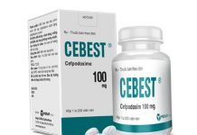 Cebest Thuốc Cebest - SĐK VD-28338-17