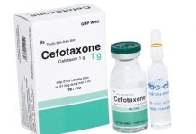 Cefotaxone 1g Thuốc Cefotaxone 1g - SĐK VD-23776-15