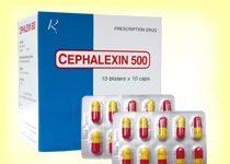 Cephalexin capsules USP 500mg Thuốc Cephalexin capsules USP 500mg - SĐK VNA-1448-04