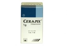 Ceraapix 1g Thuốc Ceraapix 1g - SĐK VD-5796-08