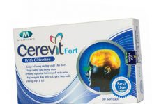 Cerevit Fort Thuốc Cerevit Fort - SĐK