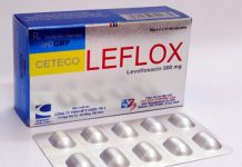 Ceteco LEFLOX Thuốc Ceteco LEFLOX - SĐK VD-17197-12