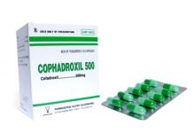 Cophadroxil 500 Thuốc Cophadroxil 500 - SĐK VD-31430-19