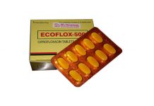 Ecoflox 500 Thuốc Ecoflox 500 - SĐK VN-10395-10