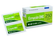 EmycinDHG 250 Thuốc EmycinDHG 250 - SĐK VD-21134-14