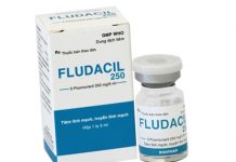 Fludacil 250 Thuốc Fludacil 250 - SĐK QLĐB-425-14
