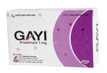 Gayi Thuốc Gayi - SĐK QLĐB-615-17