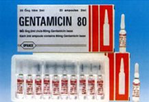 Gentamicin 80mg/2ml Thuốc Gentamicin 80mg/2ml - SĐK VNA-2006-04