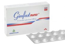 Gimfastnew 120 Thuốc Gimfastnew 120 - SĐK VD-19313-13