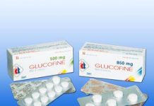 Glucofine 500mg Thuốc Glucofine 500mg - SĐK VD-0182-06
