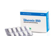 Glucosix 850 Thuốc Glucosix 850 - SĐK VD-22092-15