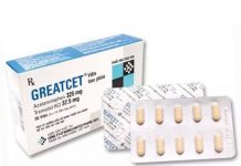 Greatcet Thuốc Greatcet - SĐK VD-18807-13