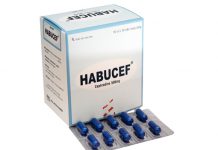 Habucef Thuốc Habucef - SĐK VD-27579-17
