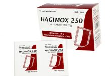 Hagimox 250 Thuốc Hagimox 250 - SĐK VD-24013-15