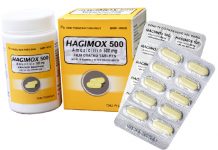 Hagimox 500 Thuốc Hagimox 500 - SĐK VD-22764-15