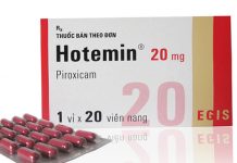 Hotemin Thuốc Hotemin - SĐK VN-0335-06