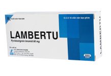 Lambertu Thuốc Lambertu - SĐK VD-21059-14