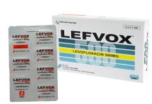 Lefvox Thuốc Lefvox - SĐK VD-10777-10