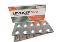 Levocef-500 Thuốc Levocef-500 - SĐK VD-2083-06