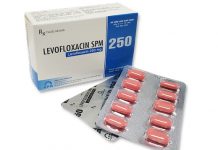 Levofloxacin SPM 250 Thuốc Levofloxacin SPM 250 - SĐK VD-32215-19