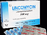 Lincomycin 500mg Thuốc Lincomycin 500mg - SĐK VNA-1652-04
