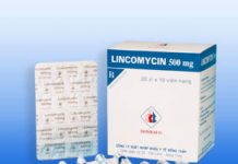 Lincomycin 500mg Thuốc Lincomycin 500mg - SĐK VNB-2993-05
