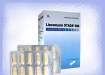 Lincomycin Stada 500mg Thuốc Lincomycin Stada 500mg - SĐK VNA-4617-05
