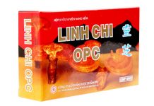Linh chi OPC Thuốc Linh chi OPC - SĐK VNA-4829-02