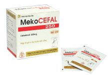 Mekocefal 250 Thuốc Mekocefal 250 - SĐK VD-23804-15