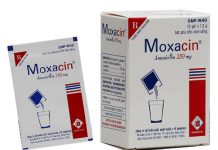 Moxacin 250mg Thuốc Moxacin 250mg - SĐK VD-5612-08