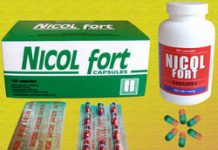 Nicol Fort Thuốc Nicol Fort - SĐK VNB-1009-01