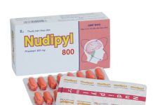 Nudipyl 800 Thuốc Nudipyl 800 - SĐK VD-28240-17