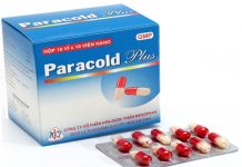 Paracold Plus Thuốc Paracold Plus - SĐK VD-1713-06
