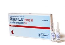 Pentoxifyllin Thuốc Pentoxifyllin - SĐK 13400/QLD-KD