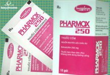 Pharmox 250 Thuốc Pharmox 250 - SĐK VNA-3725-00