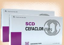 SCD Cefaclor 250mg Thuốc SCD Cefaclor 250mg - SĐK VNA-3012-05