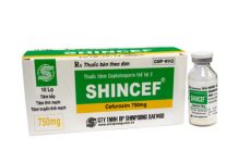 Shincef Thuốc Shincef - SĐK VD-21503-14